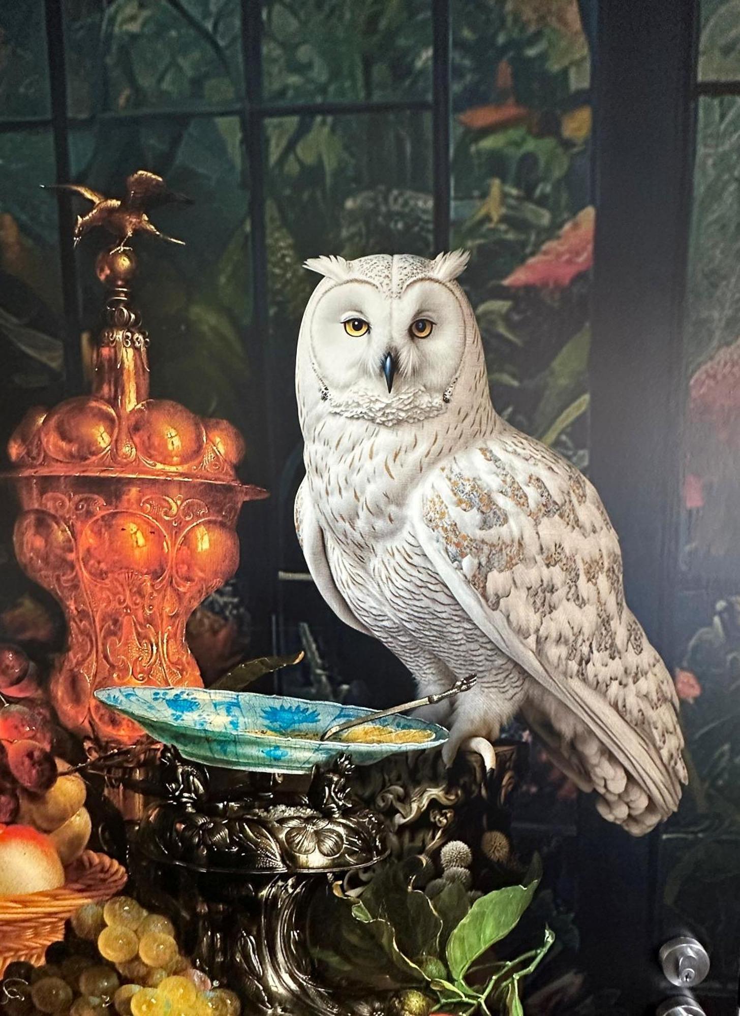Delorenzo Studio Apartments Nelson Exteriör bild Snowy owl at the National Aviary